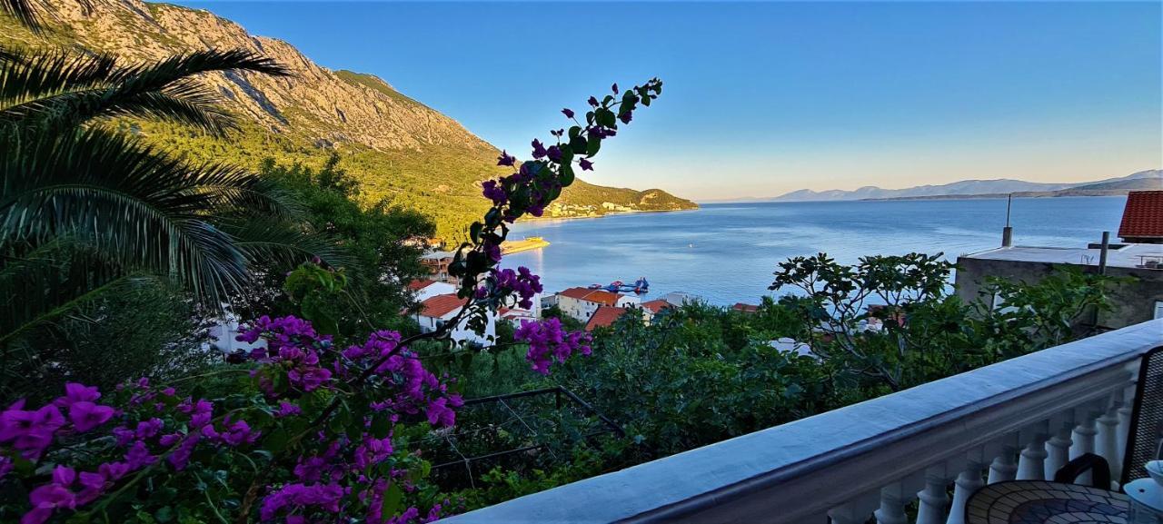 Cosic Apartmani Igrane Exterior foto
